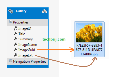 image gallery carousel db structure