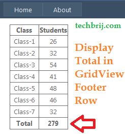 gridview footer asp.net row total